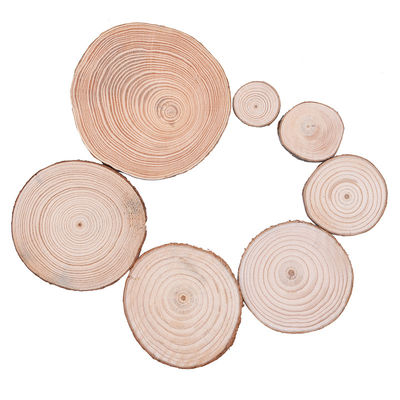 Handwerks-Naturholz-Scheiben des Barken-Klotz-12cm unfertige hölzerne