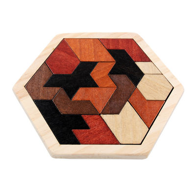 Sechseckige hölzerne Puzzlen des Montessori der Kinder