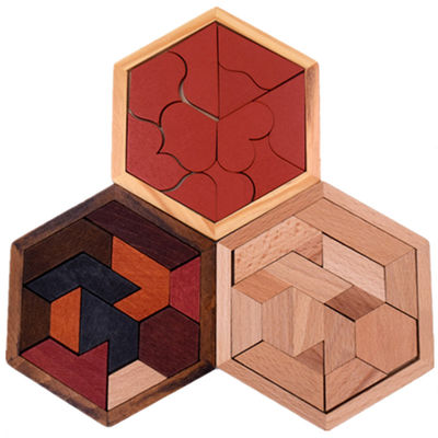 Sechseckige hölzerne Puzzlen des Montessori der Kinder