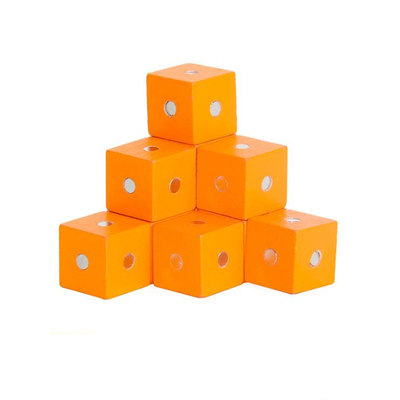 Pädagogischer quadratischer Würfel-Regenbogen-magnetische Blöcke 10pc 2X2X2cm hölzern